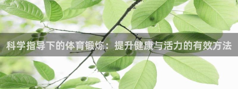 科学指导下的体育锻炼：提升健康与活力的有效方法