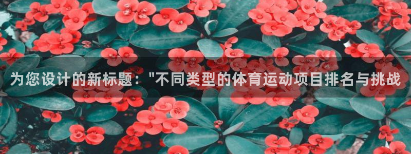 为您设计的新标题：\