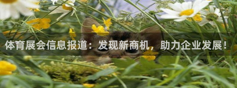体育展会信息报道：发现新商机，助力企业发展！