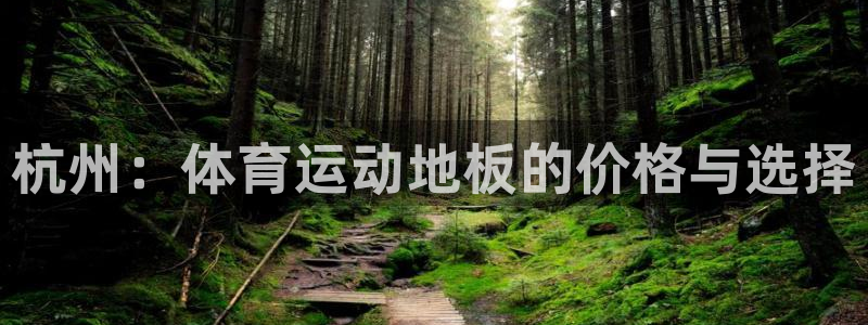 杭州：体育运动地板的价格与选择